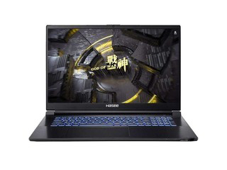 神舟战神ZX9-DA3DA笔记本重装系统Win11