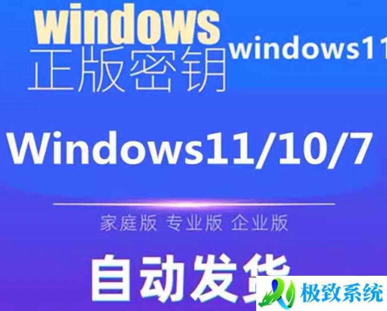 Windows 11 家庭专业中文版最新激活密钥 W11 家庭升级专业中文版永久激活